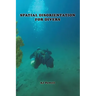 Spatial Disorientation for Divers