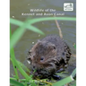 Wildlife of the Kennet and Avon Canal