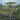 Safari - Animals Of the Serengeti