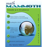Math Mammoth Grade 2-A Worktext