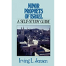 Minor Prophets of Israel: A Self-Study Guide