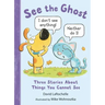 See the Ghost: Three Stories about Things You Cannot See