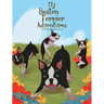 My Boston Terrier Adventures (with Rudy, Riley and more...)