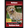 Maltipoo Training Book and Dog Care for Maltipoos, By BoneUP DOG Training, Dog Care, Dog Behavior, Hand Cues Too! Are You Ready to Bone Up? Easy Train