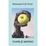 Dominant Life Form: Off the grid hackers labor to create intelligent robots on Earth