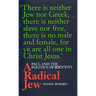 A Radical Jew: Paul and the Politics of Identity Volume 1
