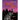 Possum Panic