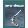 Invertebrates