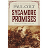 Sycamore Promises: A Novel of the Great Civil War