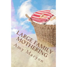 Large Family Mothering: Building your home one piece at a time