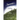 Shadow in the Forest