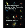 A Multi-Wavelength Census of Star Formation at Redshift z 2