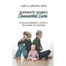 Separate Homes, Connected Lives: A Divorce Mediator's Guide to Successful Co-Parenting