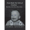 From Under the Veils of Creation: Book One of the Divine Dozen Series