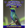 Fantastic Picture Book of Birds. 40 Color Photos of Birds: Bird Names Picture Book Gift for Adults with Alzheimer's or Dementia.