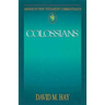 Abingdon New Testament Commentaries: Colossians