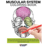 Muscular System Coloring Book