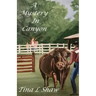 A Mystery In Canyon