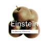 The Meaning of Relativity