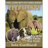 Elephants: Photos and Fun Facts for Kids