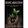 Reincarnation: Afterlife: Life After Death - What Happens When You Die? Rebirth or Game Over?
