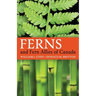 Ferns and Fern Allies of Canada