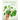 The New Plant Parent: Develop Your Green Thumb and Care for Your House-Plant Family