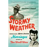 Stormy Weather: Middle-Class African American Marriages between the Two World Wars