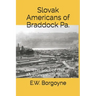 Slovak Americans of Braddock Pa.: The Soul of the Monongahela Valley