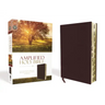 Amplified-Am: Captures the Full Meaning Behind the Original Greek and Hebrew