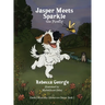 Jasper Meets Sparkle