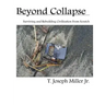Beyond Collapse