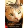 The Comeback Cat: Cleo's incredible journey through feline diabetes to remission