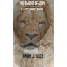 The Sword of Jory (Meaning "Down Flowing"): Catching Fire