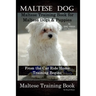 Maltese Dog, Maltese Training Book for Maltese Dogs & Puppies By D!G THIS DOG Training, From the Car Ride Home Training Begins, Maltese Training Book