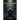 The Champion Spirit