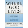 Where God Lives: The Science of the Paranormal and How Our Brains Are Linked to the Universe