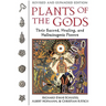 Plants of the Gods: Their Sacred, Healing, and Hallucinogenic Powers