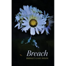 Breach