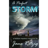 A Perfect Storm: A Lesbian Mystery Romance