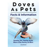 Doves As Pets: Breeding, Diet, Housing, Health, Where to Buy, Raising, and More. Facts & Information