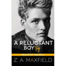 A Reluctant Boy Toy: A demisexual, bi awakening romance