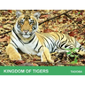 Kingdom of Tigers - Tadoba