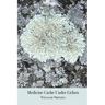 Medicine Cache Under Lichen