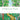 A Walk in the Woods: Enjoy colouring your own walk in the woods.