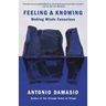 Feeling & Knowing: Making Minds Conscious