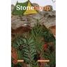 Stone Soup Magazine: June 2022