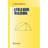 A Field Guide to Algebra