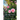 100 Roses for the South Florida Garden