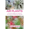 Air Plants: A Practical Beginner's Guide to Growing and Displaying Tillandsia
